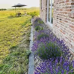 Meerzeit Mit Sauna Und Seeblick 度假居 坡瑟利特兹