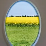 Meerzeit Mit Sauna Und Seeblick 度假居