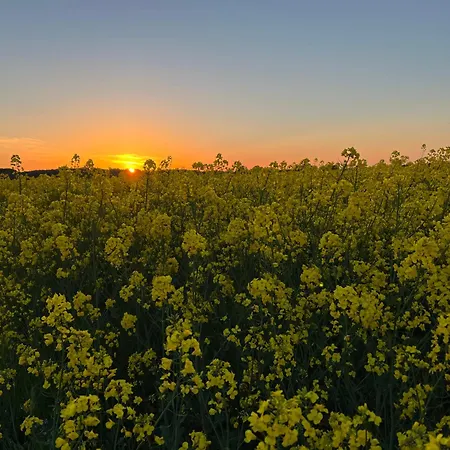 Nyaraló Meerzeit Mit Sauna Und Seeblick *