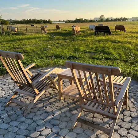 Vakantiehuis Meerzeit Ruegen Mit Reetdach, Sauna Und Wasserblick