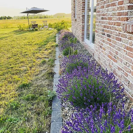 Meerzeit Ruegen Mit Reetdach, Sauna Und Wasserblick Vakantiehuis Poseritz
