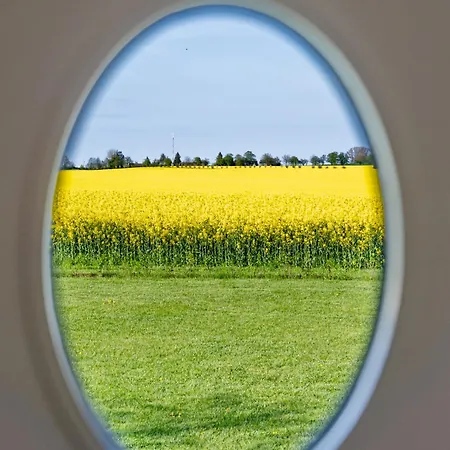 Meerzeit Ruegen Mit Reetdach, Sauna Und Wasserblick Vakantiehuis